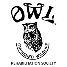 OWL Orphaned Wildlife